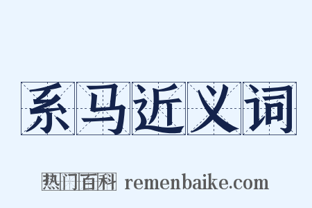 系马近义词是什么意思的图片